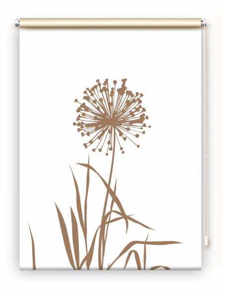 Rollo Allium 24 blanco Cappuccino, Rollo, Motivrollo, Rollo mit Druck, Fotorollo, bedrucktes Rollo, Fensterrollo,verdunkelndes Rollo, Sonnenschutz Rollo